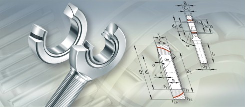 SKFGEM50ES-2RS轴承三维模拟图