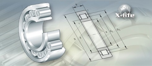 SKFNU1022轴承三维模拟图