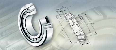 FAG32244A轴承三维模拟图