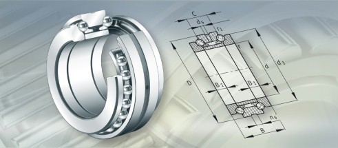 INAYRT950轴承三维模拟图