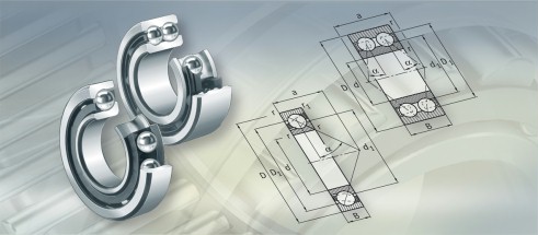 FAG3205B.2ZR.TVH轴承三维模拟图