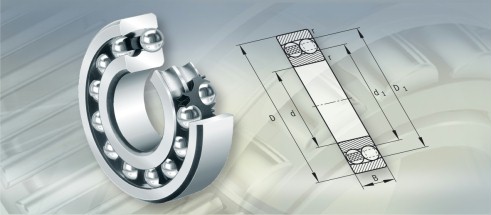 FAG1310K.TV.C3+H310轴承三维模拟图